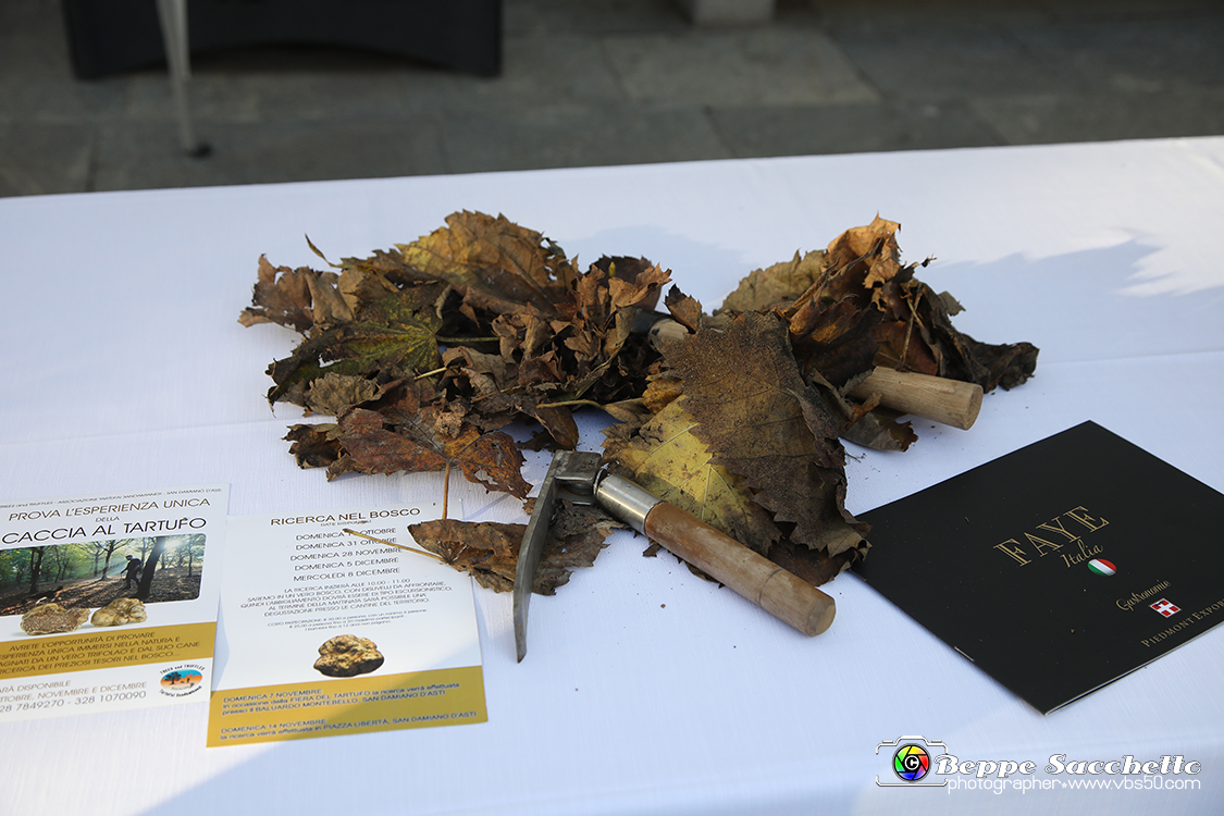 VBS_5481 - 10.ma Fiera Nazionale del Tartufo e Fiera dei Santi.jpg
